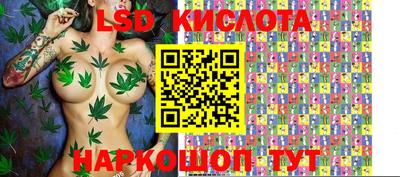 спиды Кимры