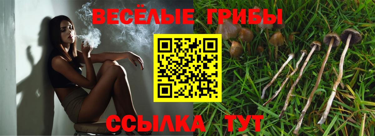 Галлюциногенные грибы MAGIC MUSHROOMS Кропоткин