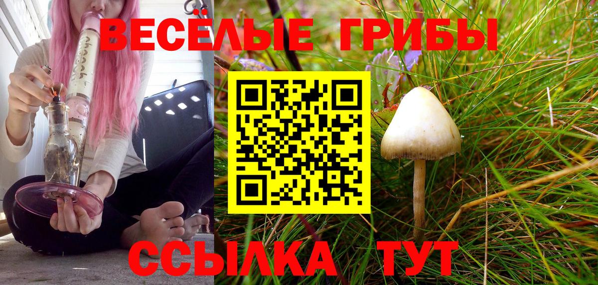 Кропоткин  Галлюциногенные грибы мицелий  Вход с VPN  Галлюциногенные грибы ЛСД 